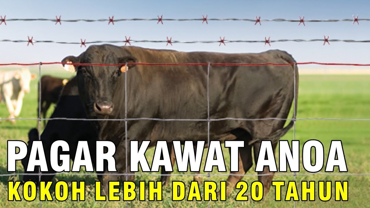 
                                 Pagar-Kandang-Ternak-Kuat-Awet-Tahan-Lama-Hingga-20-Tahun